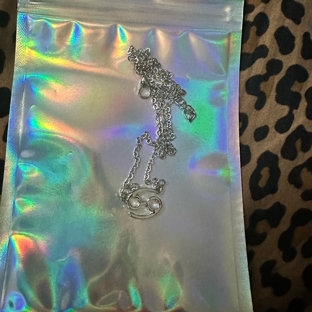 Silver Cancer Zodiac Necklace